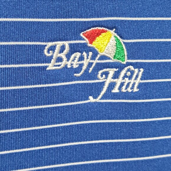 Nike Golf Polo Shirt womens XL Blue Stripe Collared Tour Performance Dri Fit - Picture 2 of 9